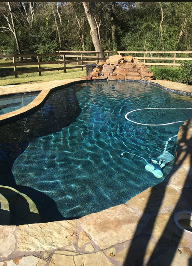 Pool with resurfaced deck and palm tree landscaping